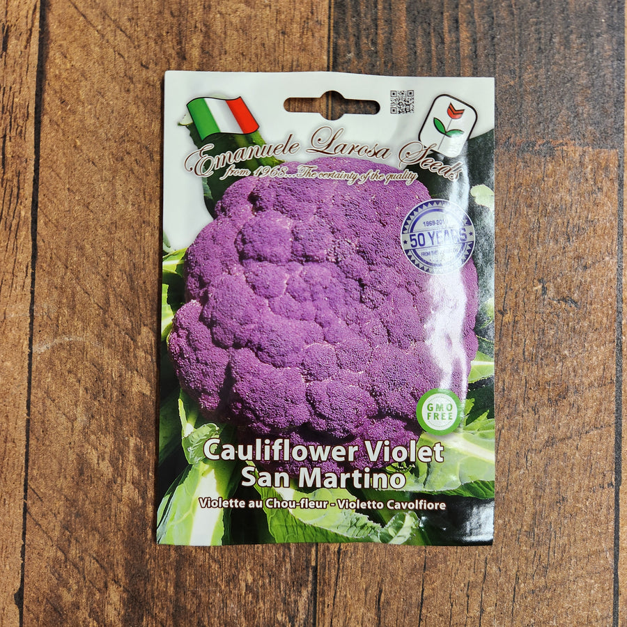 Chou-fleur mauve 'Violet San Martino'