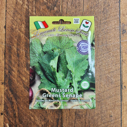 Green mustard 'Senape'