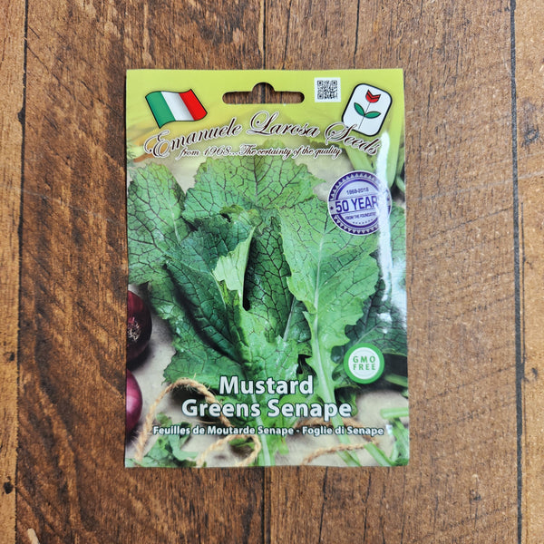 Green mustard 'Senape'