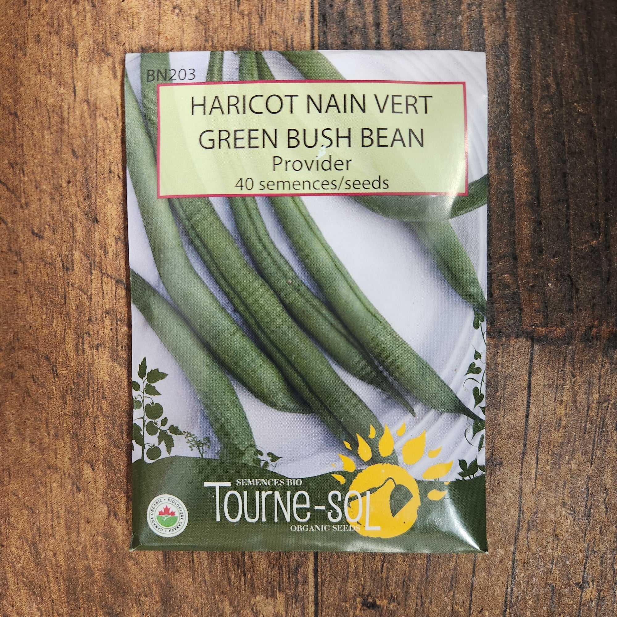 Haricot nain vert ‘Provider’ (Phaseolus vulgaris)