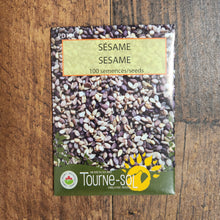 Sésame (<em>Sesamum indicum</em>)