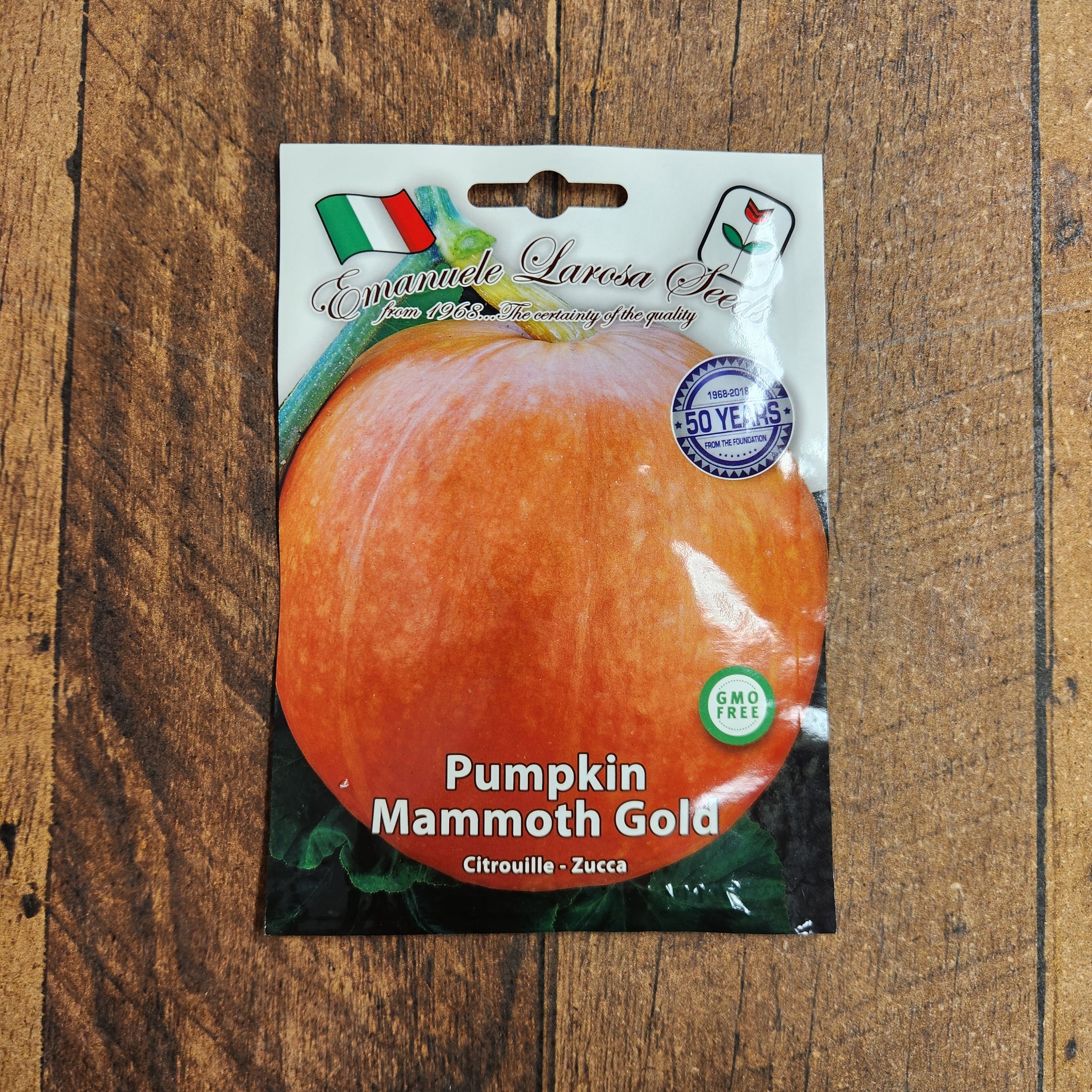 Pumpkin 'Mammoth Gold'