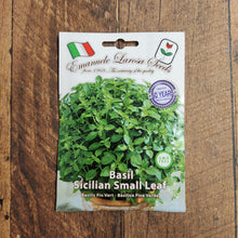 Basilic nain sicilien