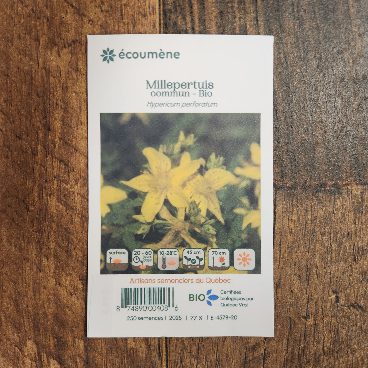 Sachet de semences Millepertuis Commun. Emballage blanc photographié de face sur un fond de bois brun. Une image du végétal occupe la partie centrale, sous le nom imprimé. De petits pictogrammes et un code-barres apparaissent au bas du sachet. La marque Écoumène figure dans la partie supérieure de cette présentation.