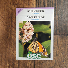 Common Milkweed