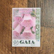 Digitale 'Camelot Lavender Pelleted' F1 bio