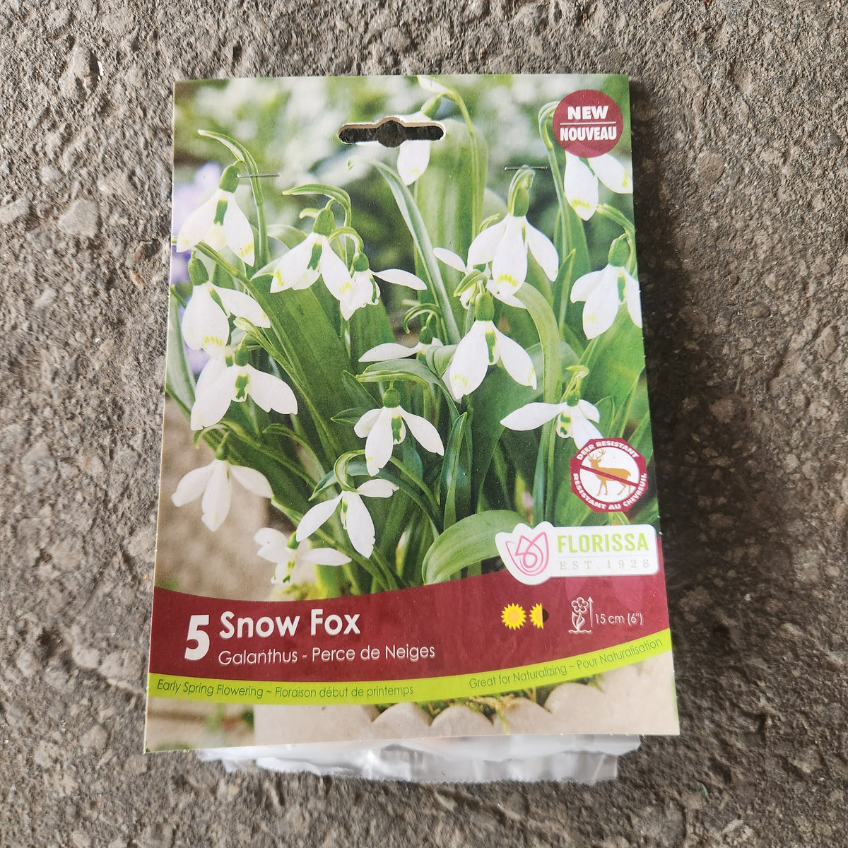 Perce-neige Snow Fox ( Galanthus ‘Snow Fox’) : un sachet posé sur le sol illustré de perce-neige blancs. La présentation montre l’emballage avec une illustration du produit et son nom imprimé sur l’étiquette. Les informations sont regroupées sur la face visible, tandis que la photographie met en évidence le contenu ou la plante illustrée. Cette vue vous aide à reconnaître le produit présenté et son conditionnement.