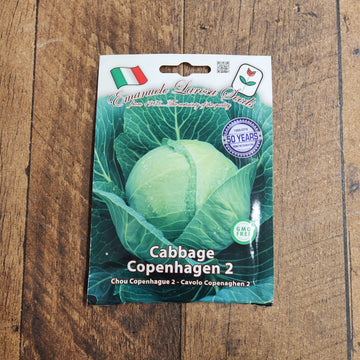 Cabbage 'Copenhagen 2'