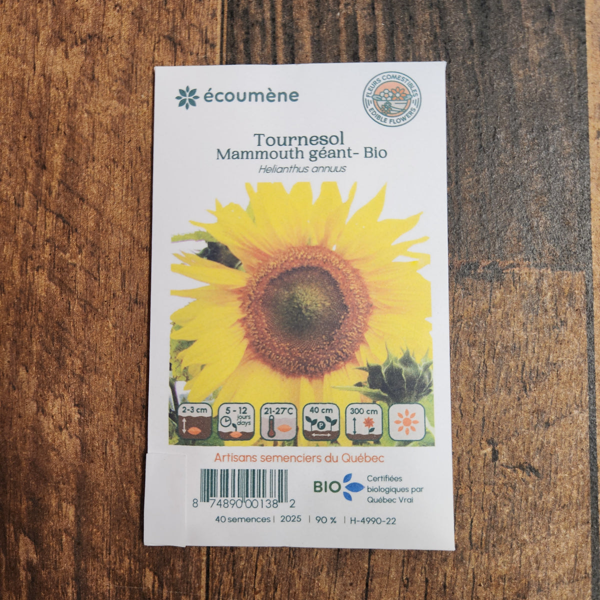 Sachet de semences Tournesol Mammouth Géant. Emballage blanc photographié de face sur un fond de bois brun. Une image du végétal occupe la partie centrale, sous le nom imprimé. De petits pictogrammes et un code-barres apparaissent au bas du sachet. La marque Écoumène figure dans la partie supérieure de cette présentation.