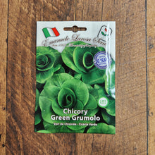 'Grumolo verde' chicory