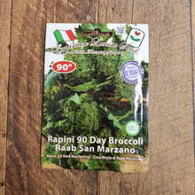 Semences Rapini 'Riccia di San Marzano Novantina' (Brassica rapa)