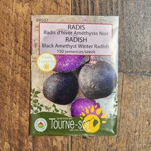 Organic 'Black Amethyst' Winter Radish