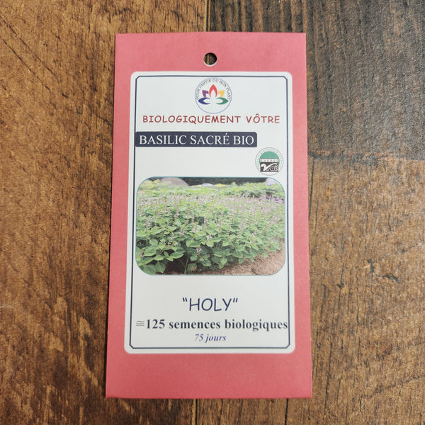 Basil 'Holy' organic