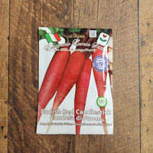 Red Candlestick Radish 'Candela di Fuoco'