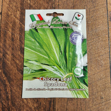 Chicorée feuille 'Spadona da taglio'