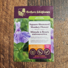 Square Stemmed Monkey Flower
