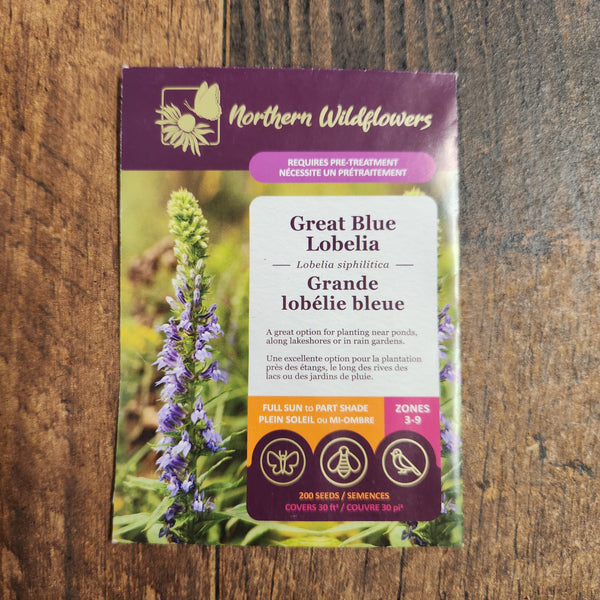 Great Blue Lobelia