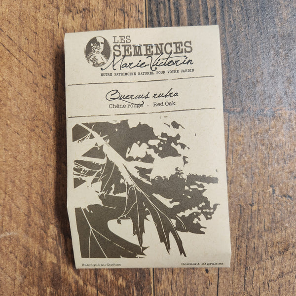 Chêne rouge