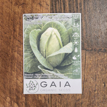 Cabbage 'Early Jersey Wakefield' 