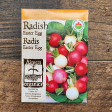 Mélange de radis 'Easter Egg' bio