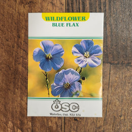 Blue Flax