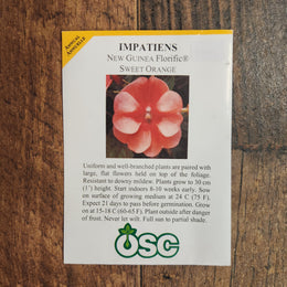  Impatiens 'Florific Sweet Orange'