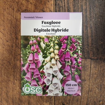 Foxglove  'Excelsior'