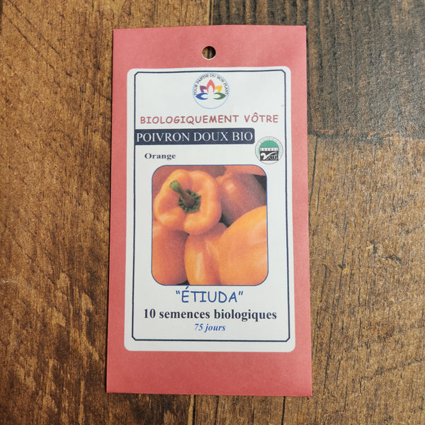 Poivron orange 'Etiuda' bio
