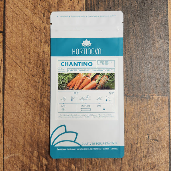 Carrot 'Chantino'