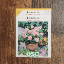 Geranium 'Maverick Salmon'