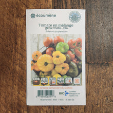 Organic large fruit tomato mix