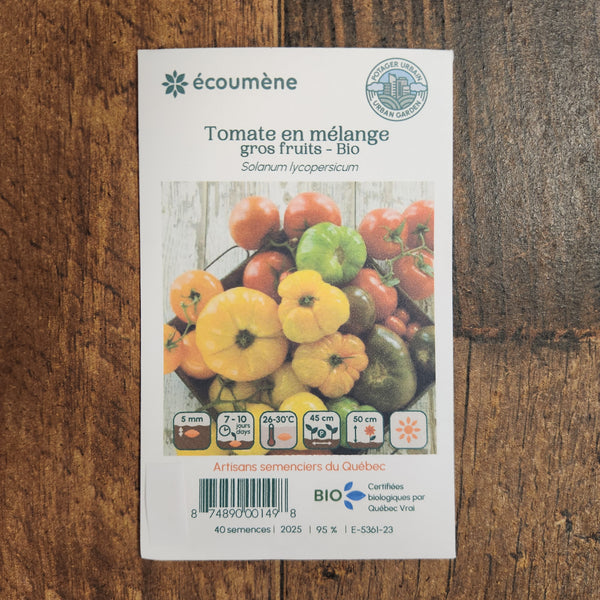 Organic large fruit mixed tomatoes