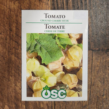 Ground Cherry 'Husk'