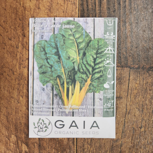 Yellow Swiss chard organic