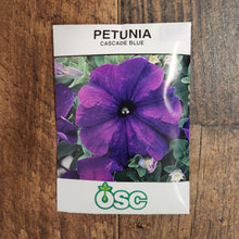Petunia 'Cascade Blue'