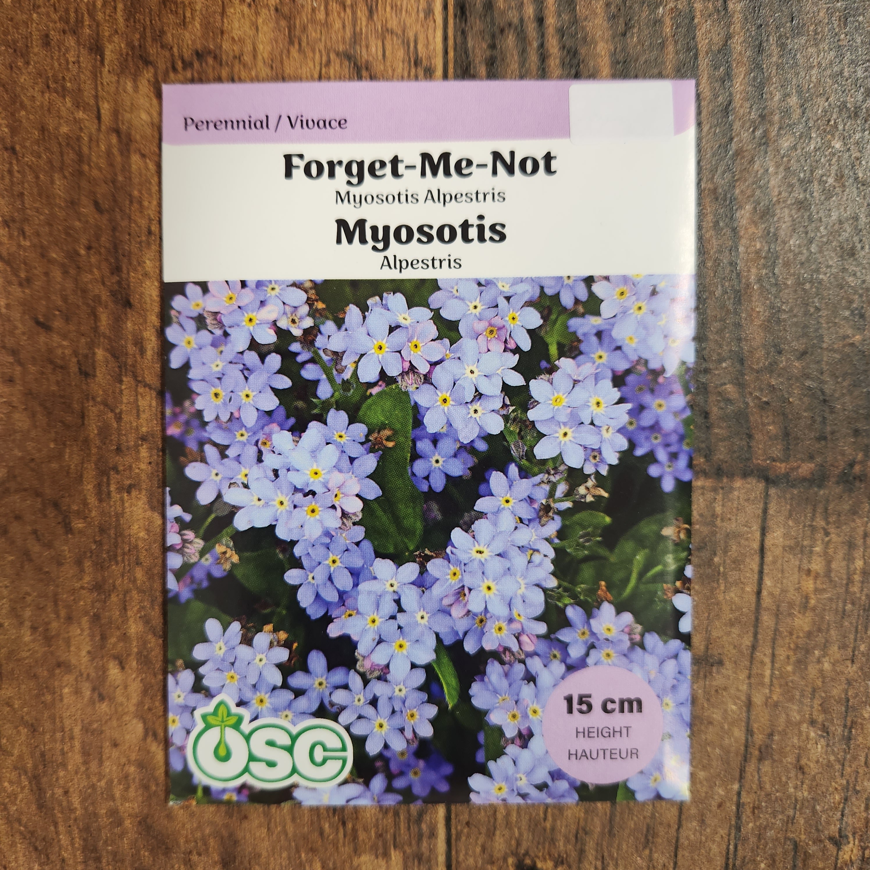 OSC Seeds | Myosotis Alpestris Seeds – Indigo Blue Flowers for