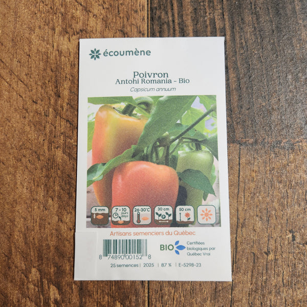 Organic marbled pepper 'Antohi Romania'