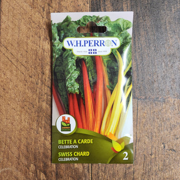 Swiss Chard 'Celebration'