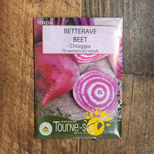 Organic 'Chioggia' beetroot