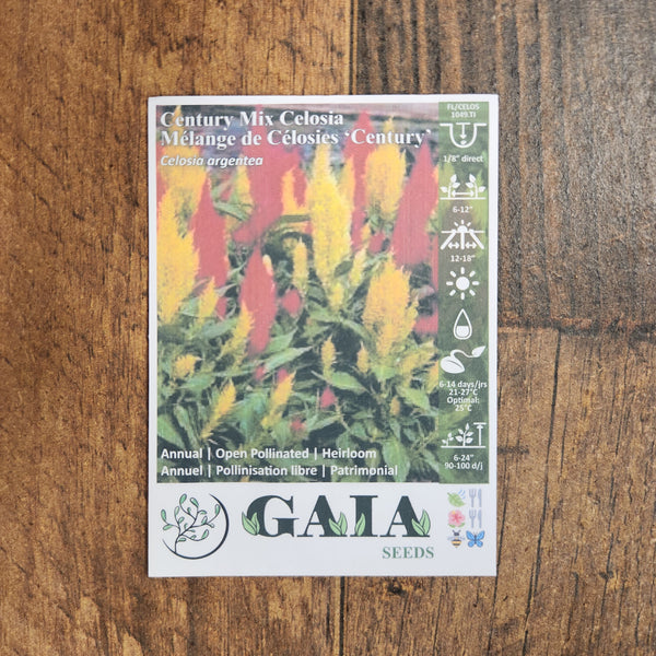 Celosia 'Century Mix' organic