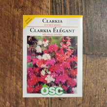 Clarkia Double Mix