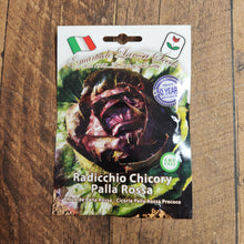 Radicchio radicchio 'Palla Rossa' semi-early