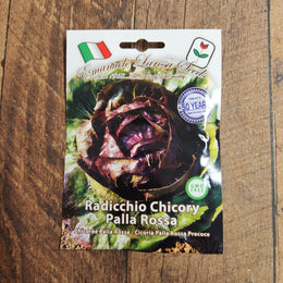 Radicchio radicchio 'Palla Rossa' semi-early