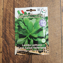 Lamb's lettuce