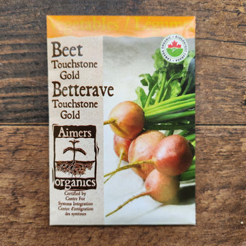 Organic 'Touchstone Gold' beetroot