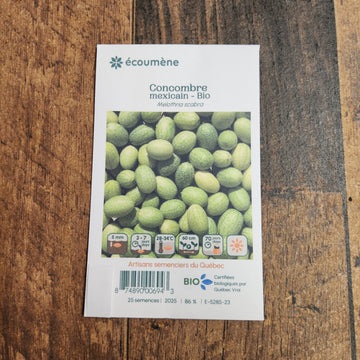 Concombre 'Mouse Melon' bio