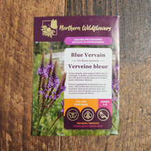 Blue verbena 