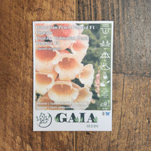 Digitale 'Dalmatian Peach Pelleted' F1 bio