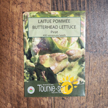Laitue pommée 'Pirat' bio