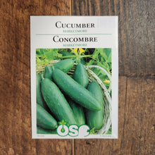  Cucumber 'Marketmore'